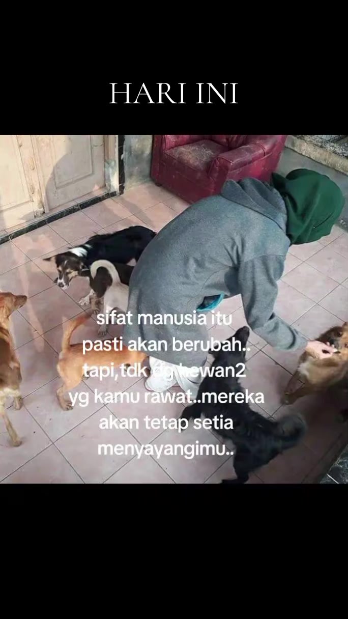 @Hesti Green House