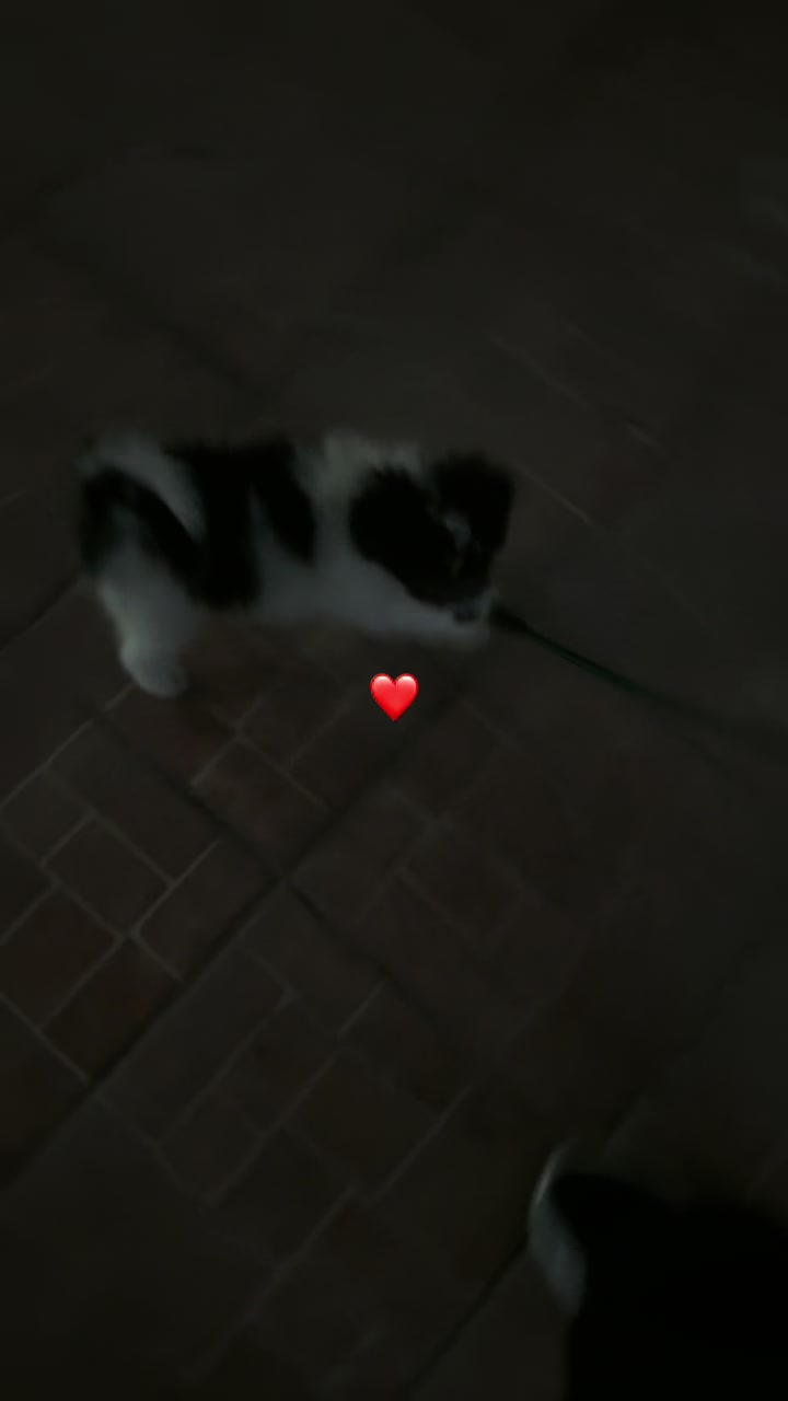 @Alejandra_Vazquez_V6