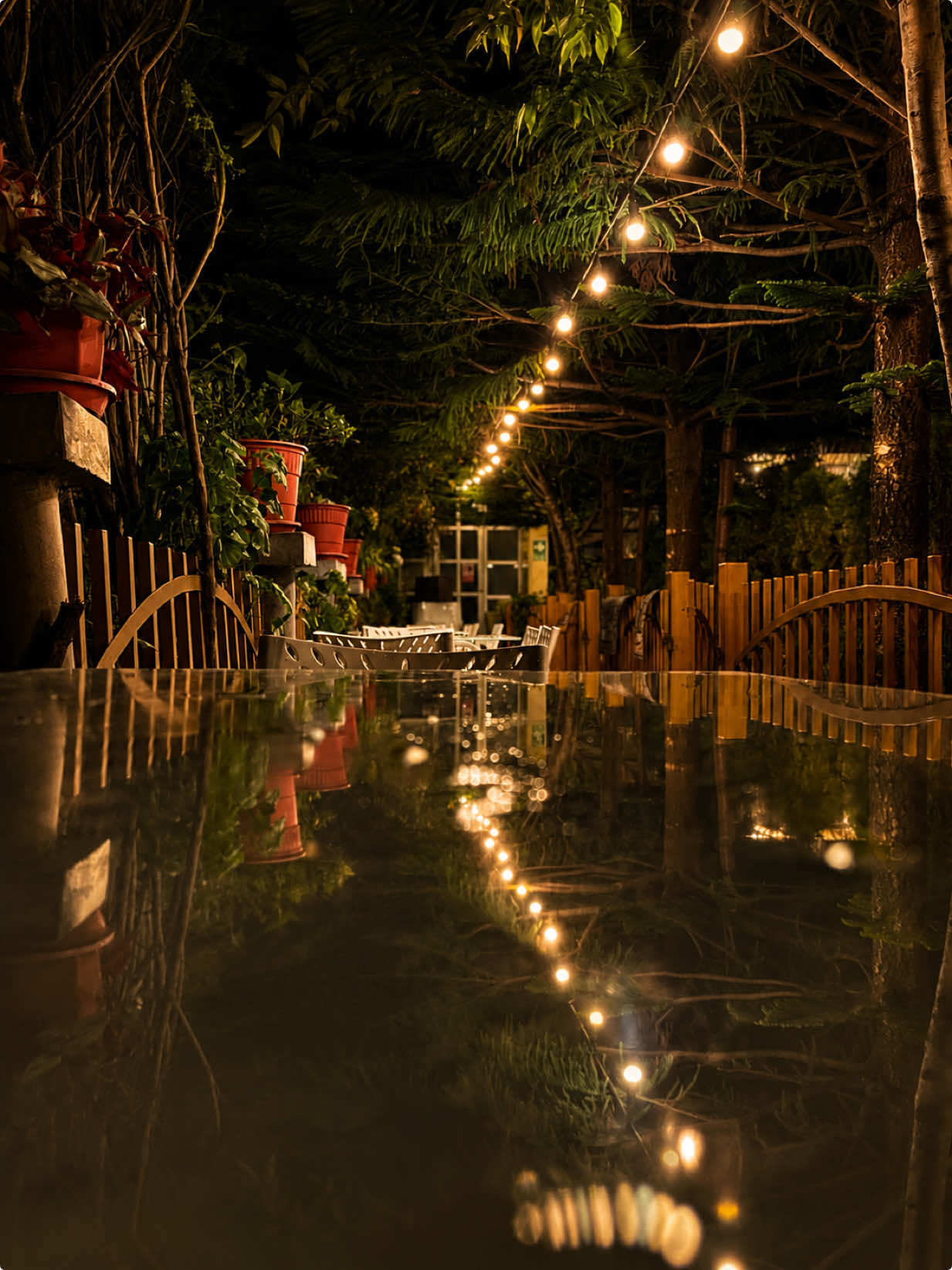 @Labrador Caff&eacute;