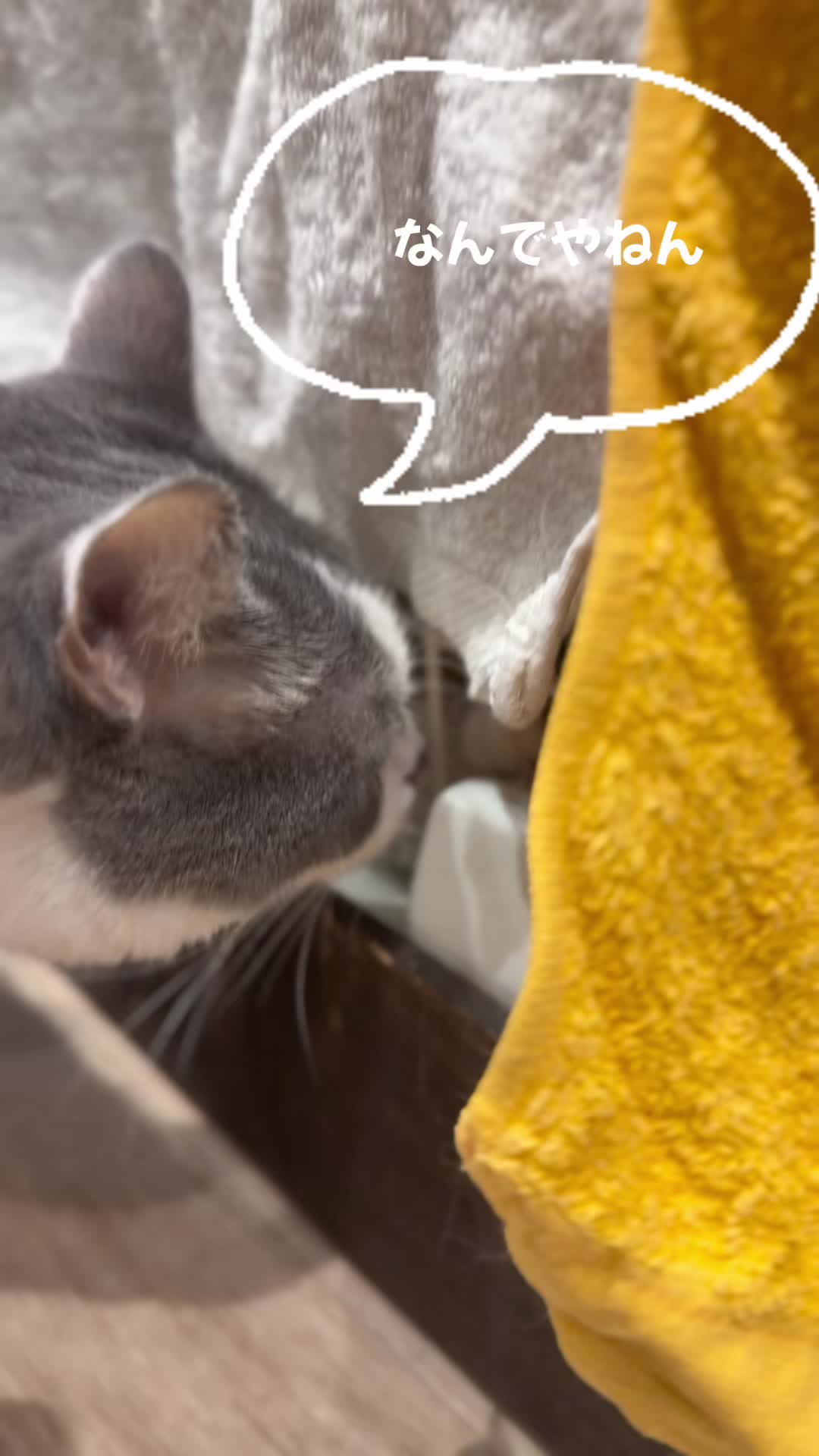 @ラブリーデイ
