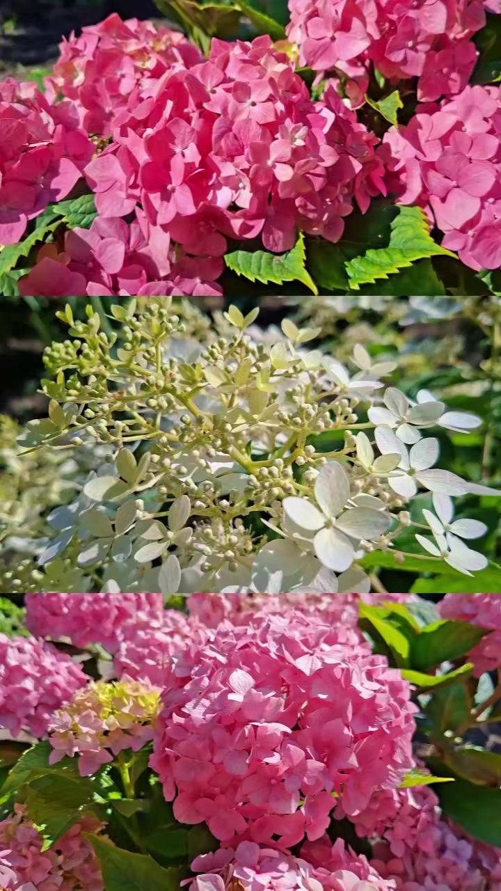 @Любов Тесля