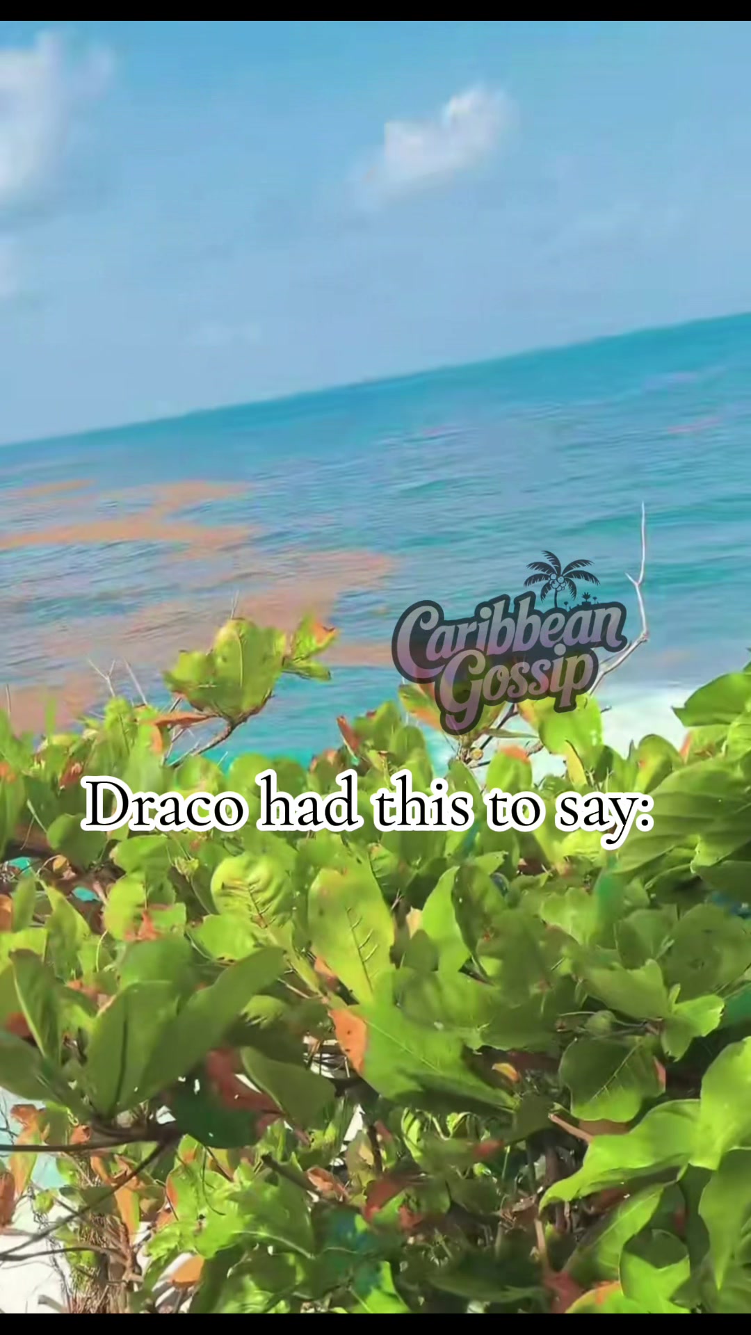 @✨Caribbean Gossip✨