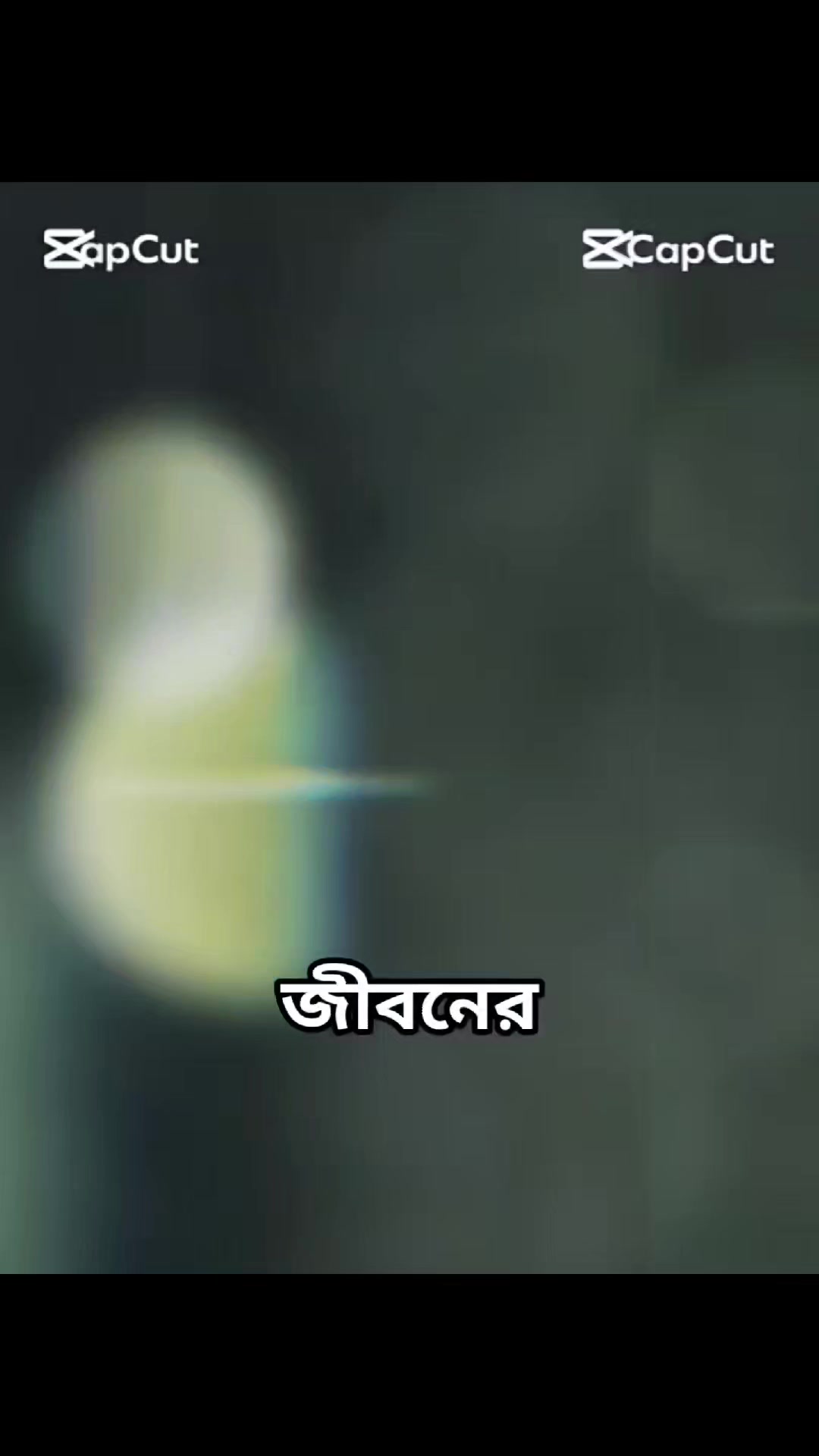 @Rakibul Hasan