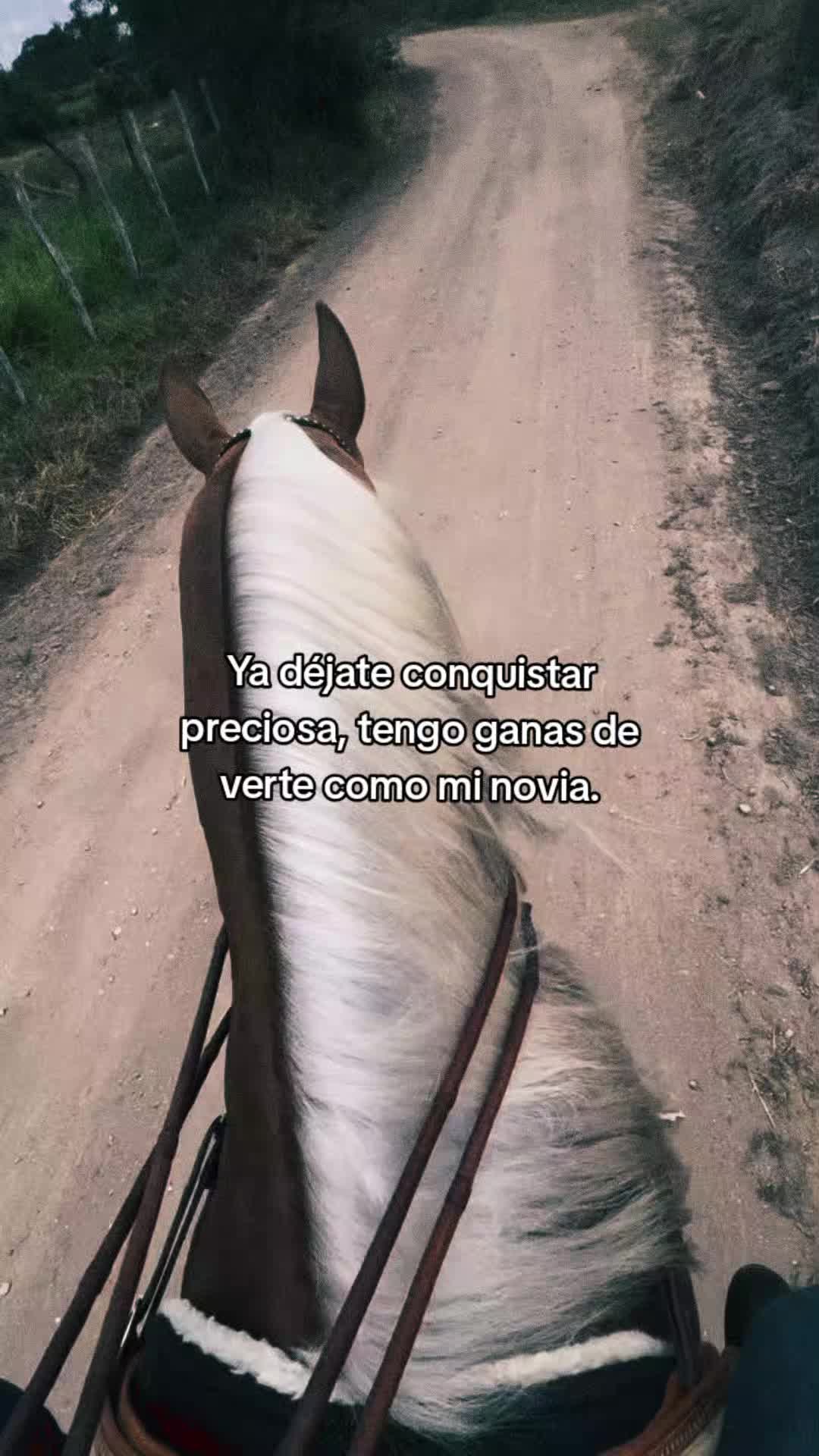 @Robin🐄🐄🤠🤠🐎🐎🇬🇹🇬🇹