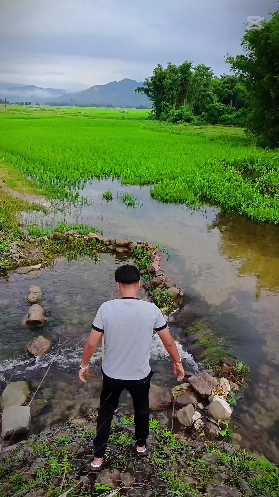 @सा M̆̈̆̈Ĭ̈̆̈