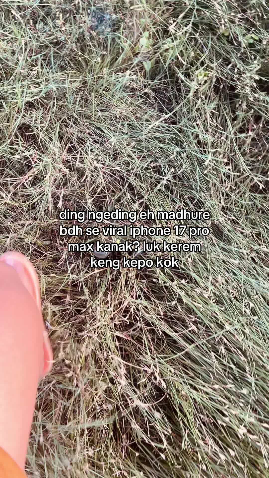 @MDRrubaru