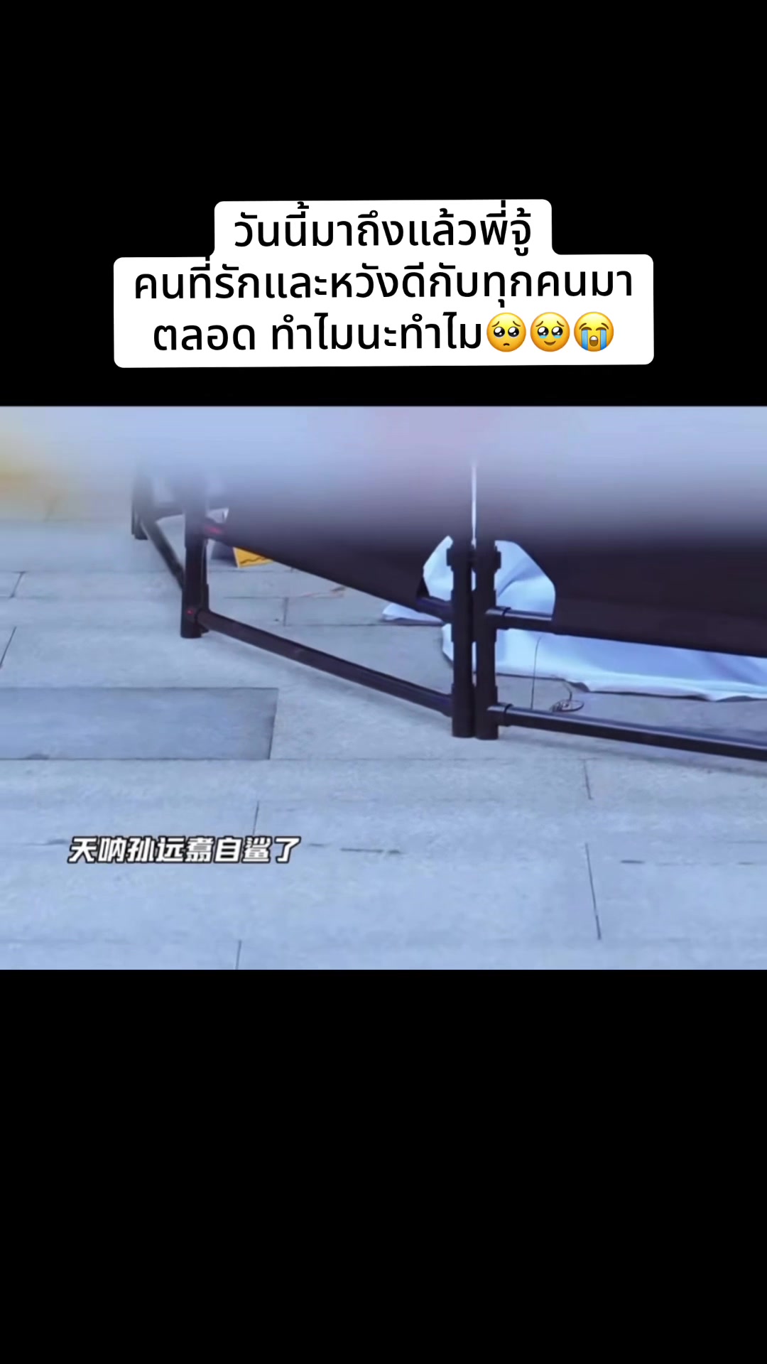 @มะเขือเทศผัดไข่🍳