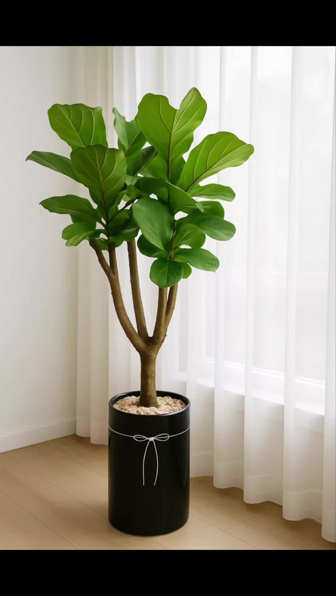 @hayaflower