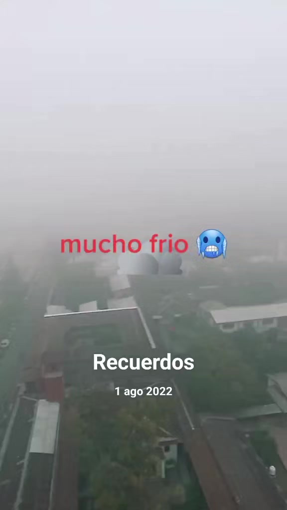 @Giovanna Salinas