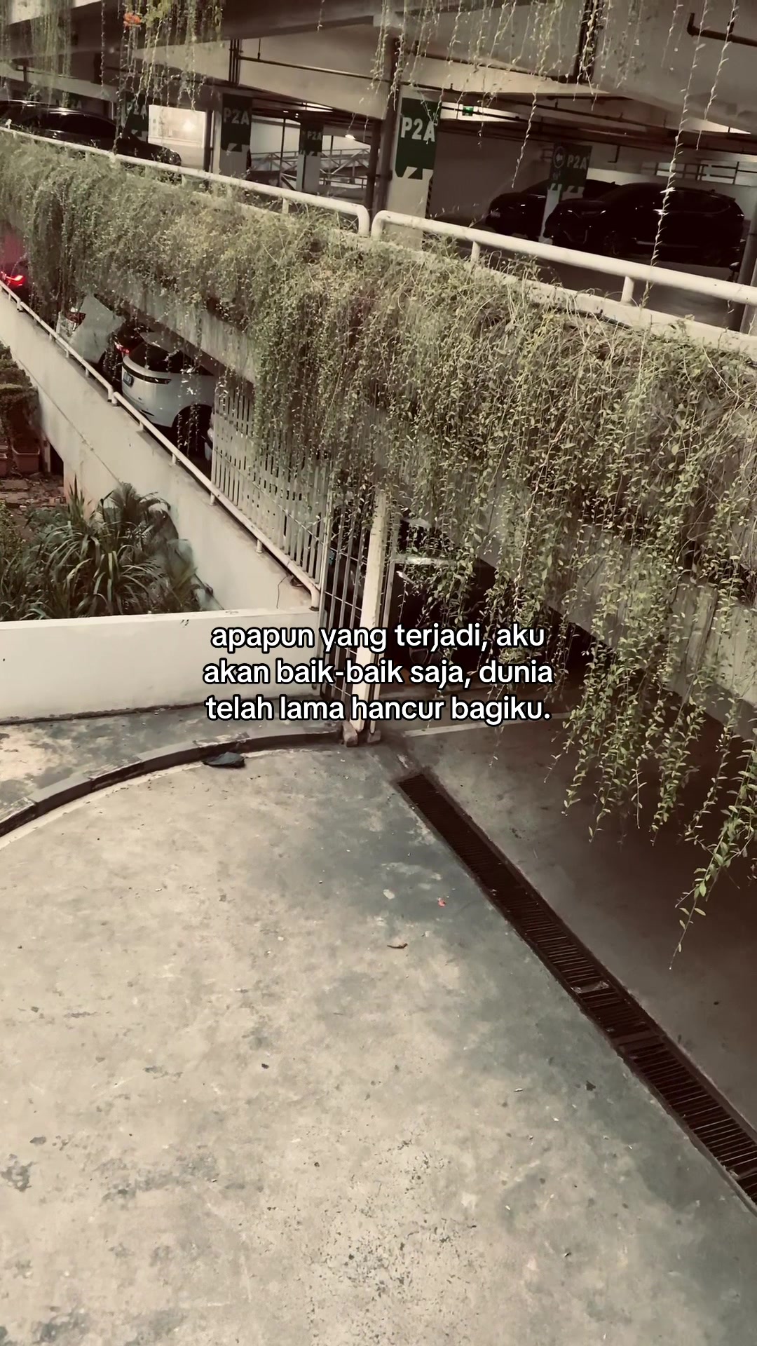 @ryy.