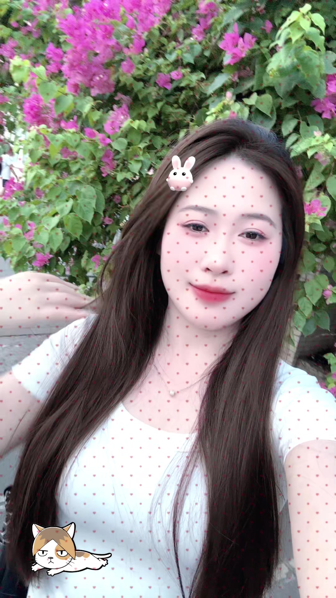 @🍄 Linh Chi 🍄