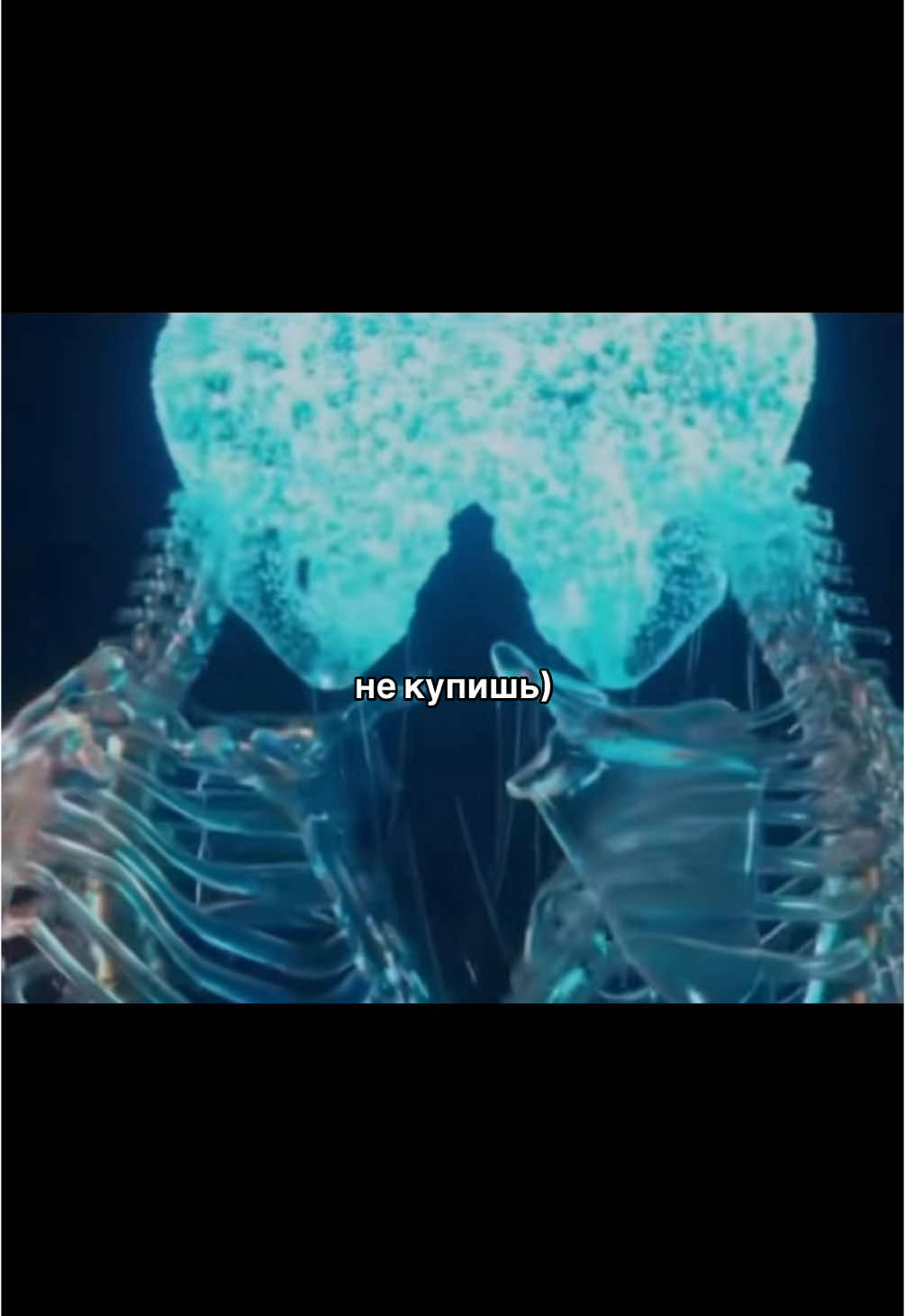 @𝒎𝒂𝒍𝒆𝒄𝒉𝒌𝒂𝒊𝒊 ⋆