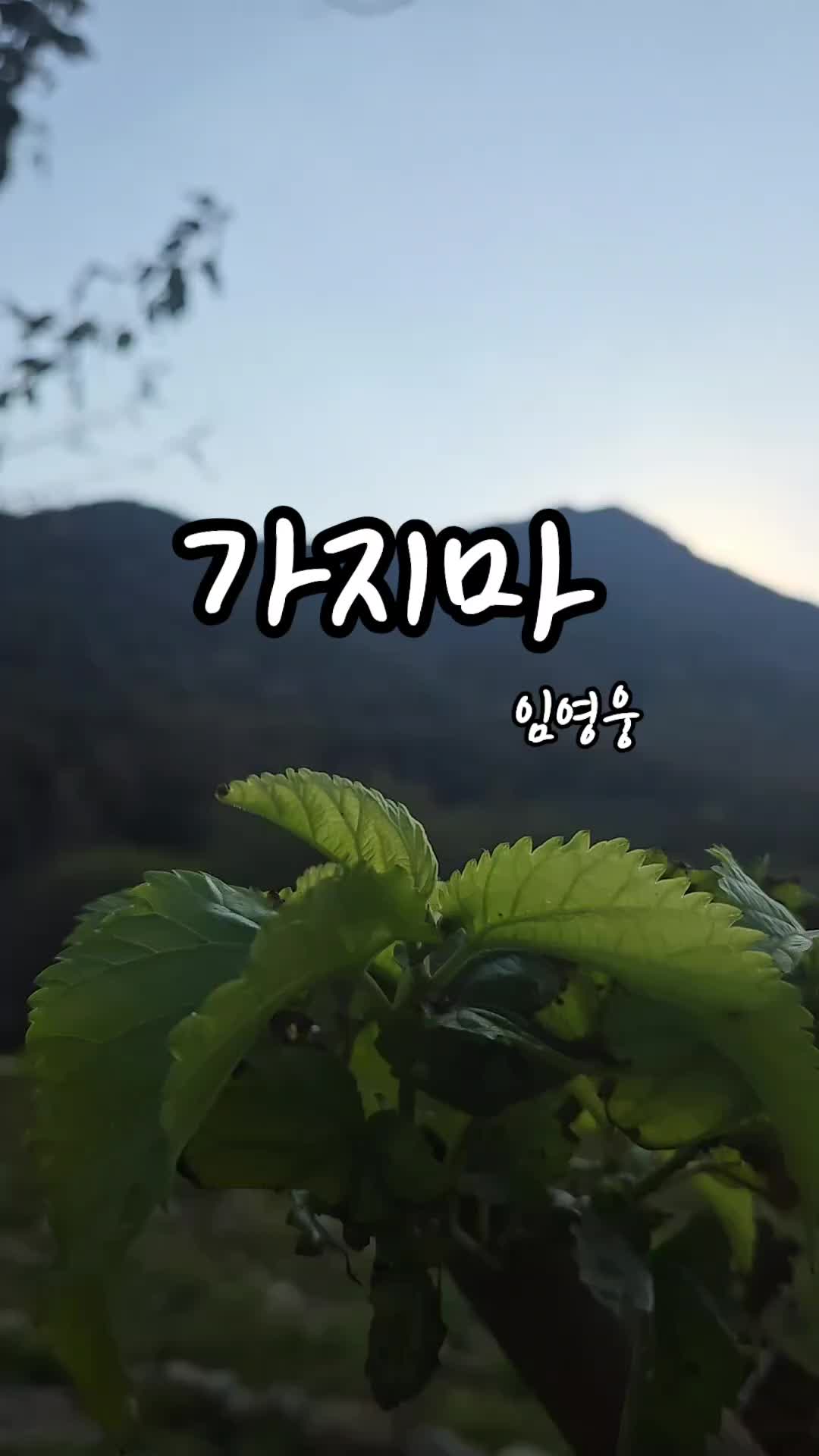 @✨️ 범수생각 ✨
