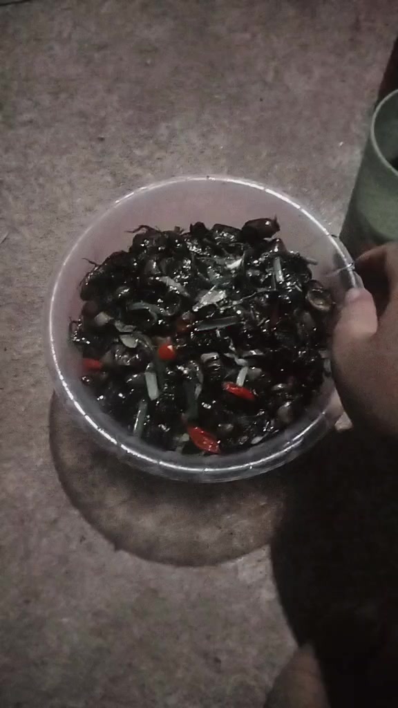 @🇰🇭កូនអ្នកកំពង់ចាម🇰🇭💗