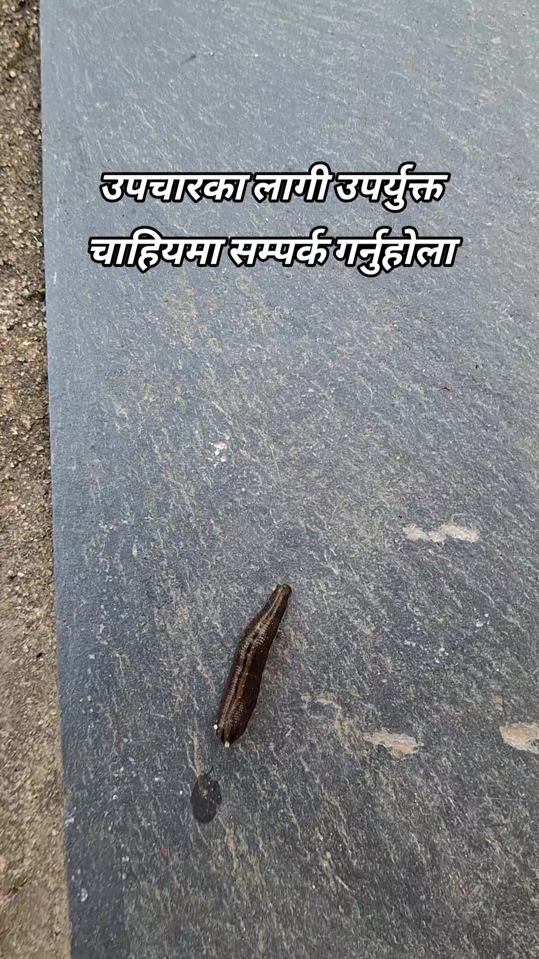 @@fani thapa