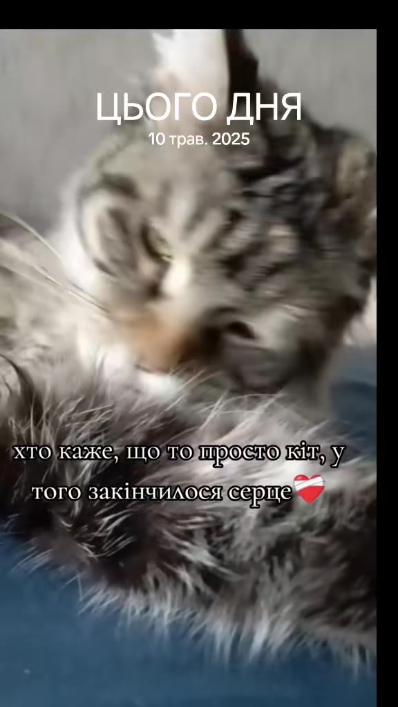 @Kosa
