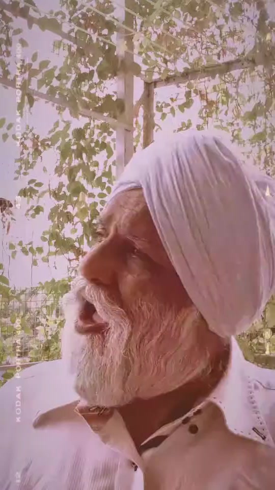 @పీఎం🕉️🪈🦚మోడీజీ🕉️🦚🪈🚩2029