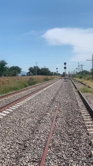 @elsr.deltren