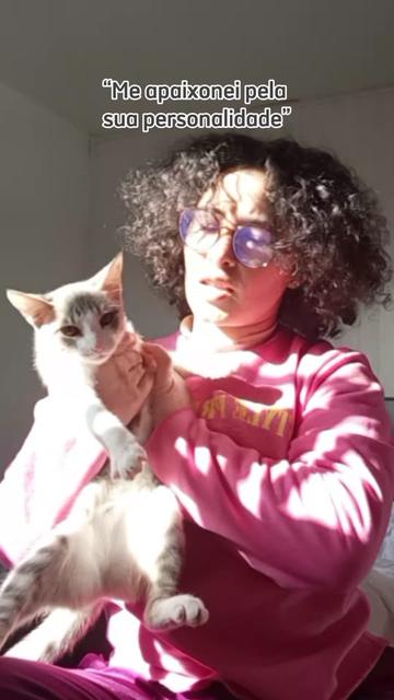 @coisas da minha cabe&ccedil;a