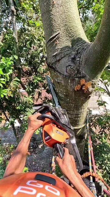 @Yulianto