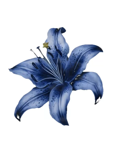 @𝐲𝐰𝐞𝐮