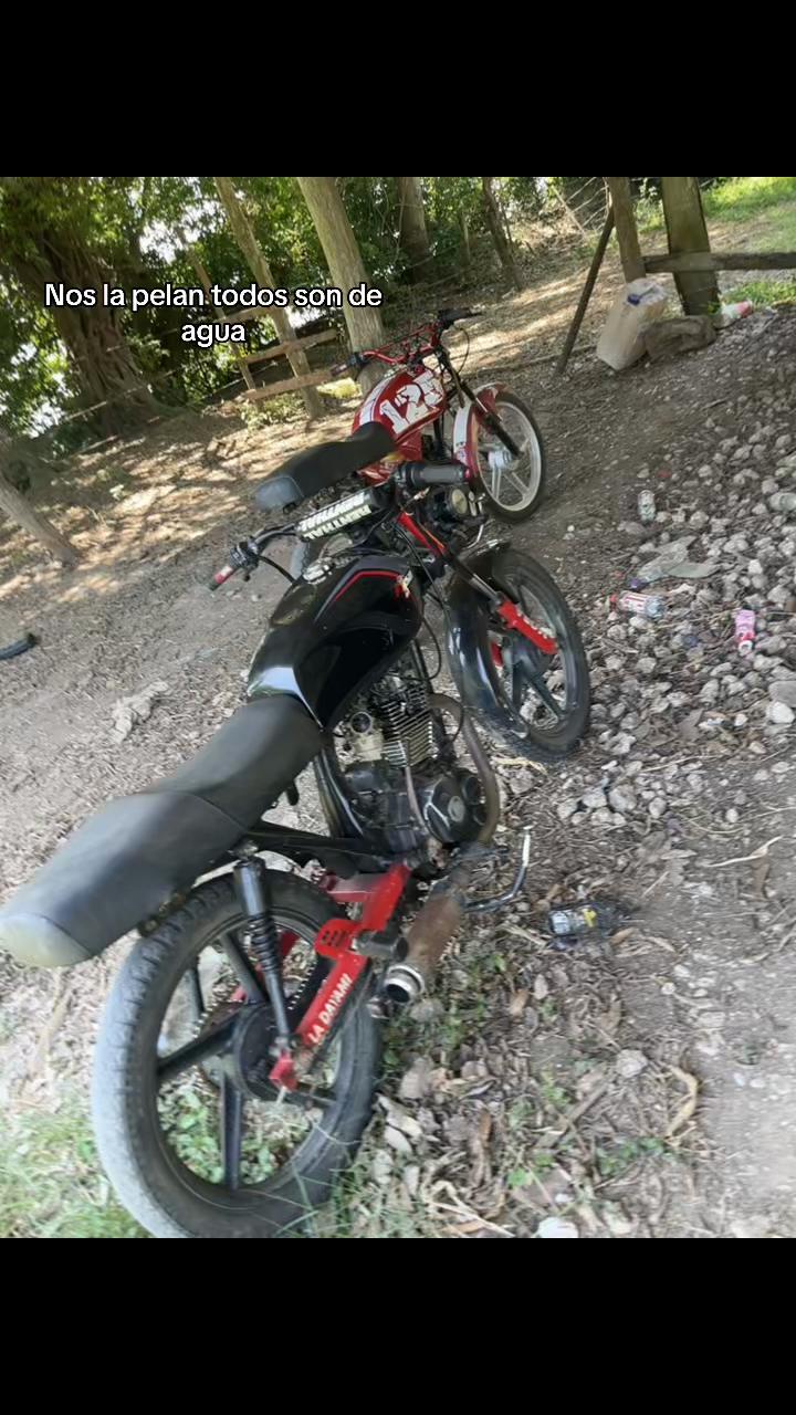 @TIBURONCIN🦈