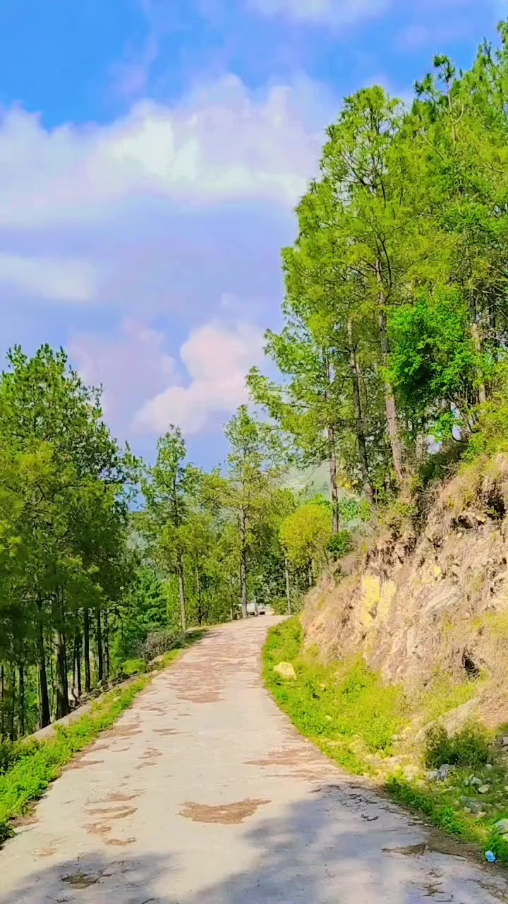 @Umer 🦅 1