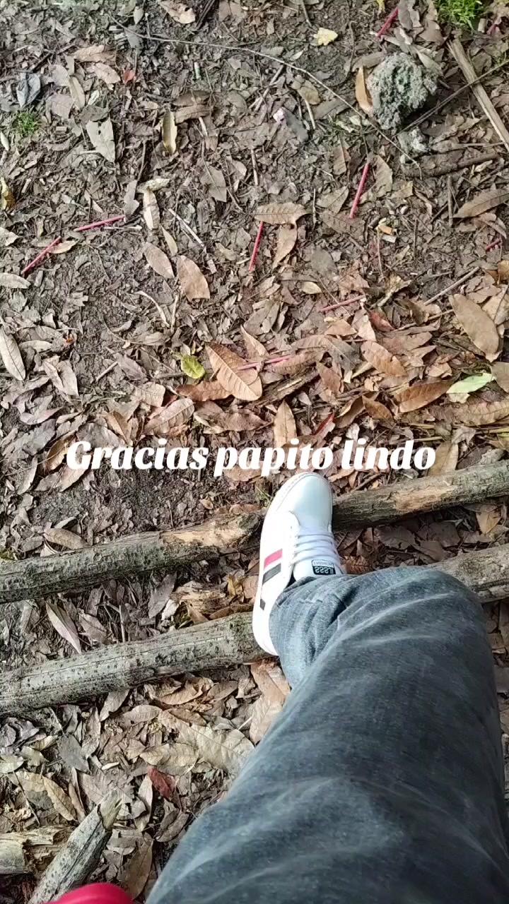 @el turpial del valle HM