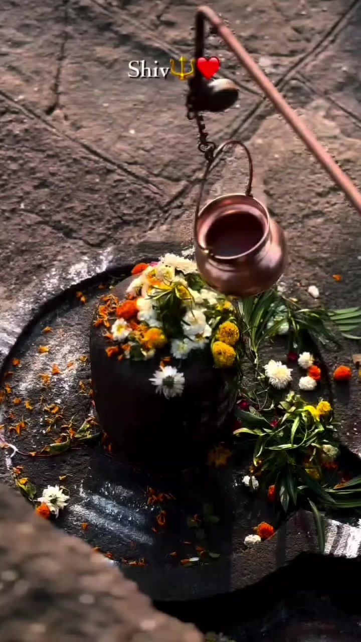 @✨❤️MAHADEV ka deewana 📿🙇🏻