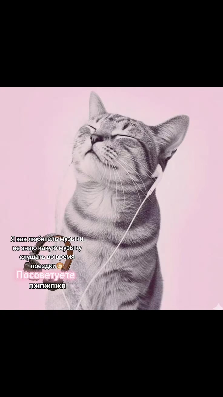 @цветочная звездочка🪷⭐️