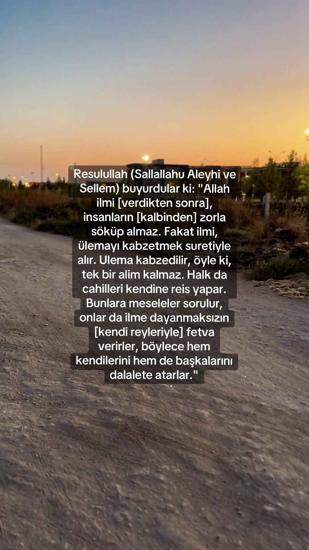 @ismailfidan6300