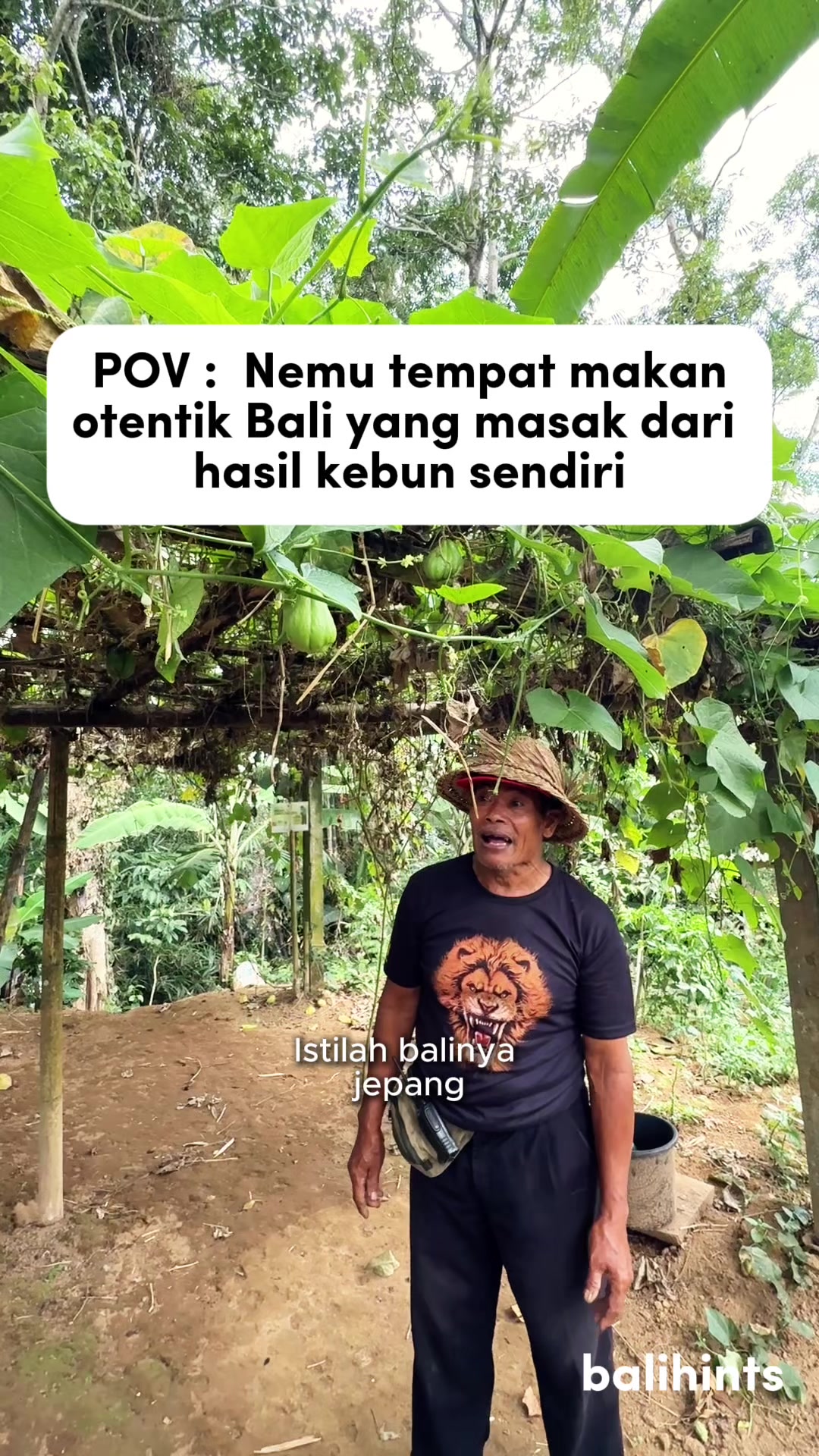 @Bali Hints