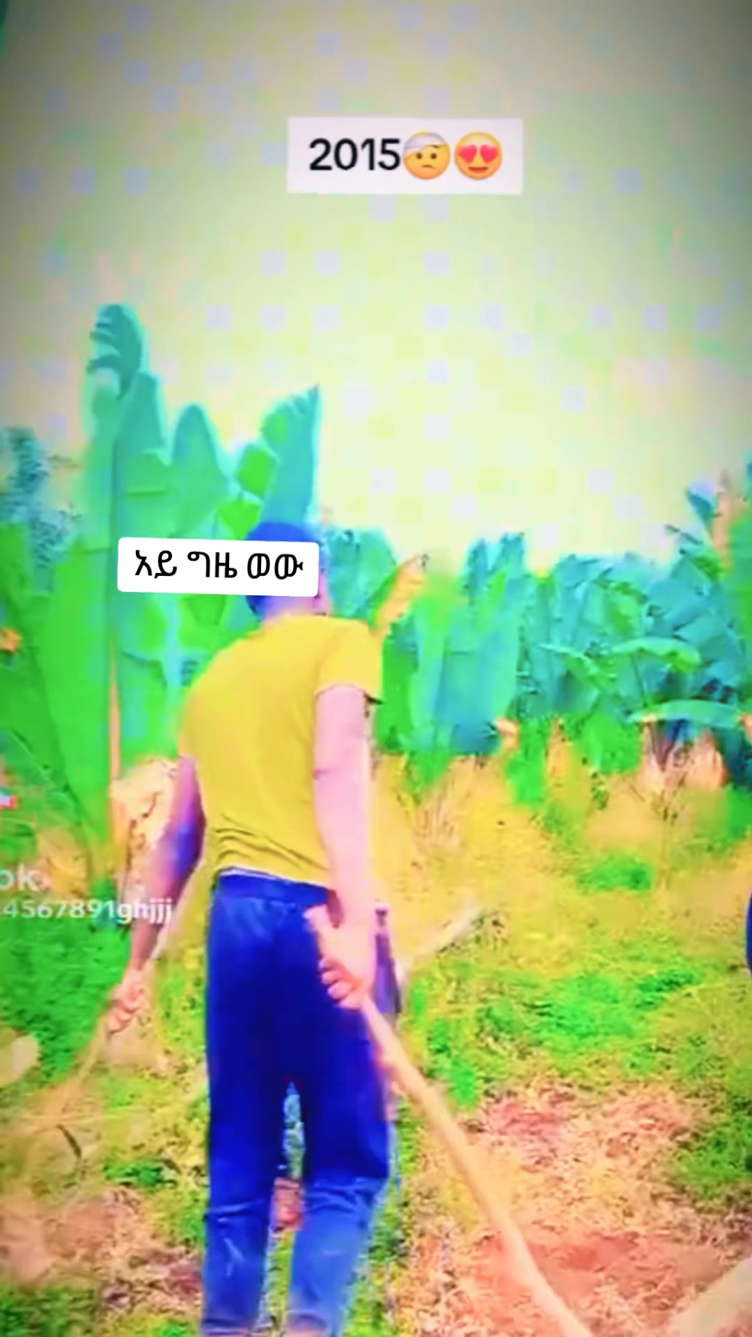 @Mahammed๐แจแ แแญแแตโคแแ
