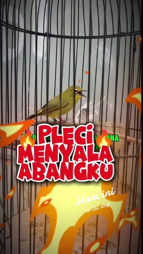 @totalbukpar