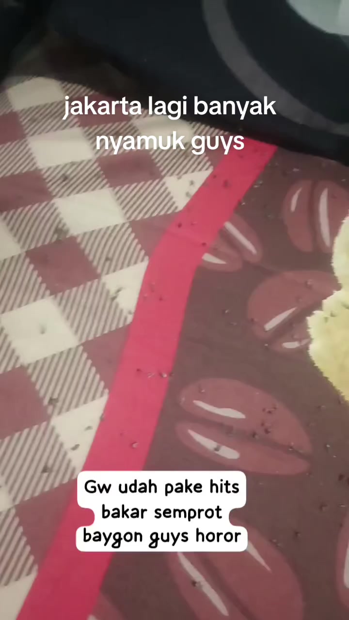 @FeLizaJazmineIcha