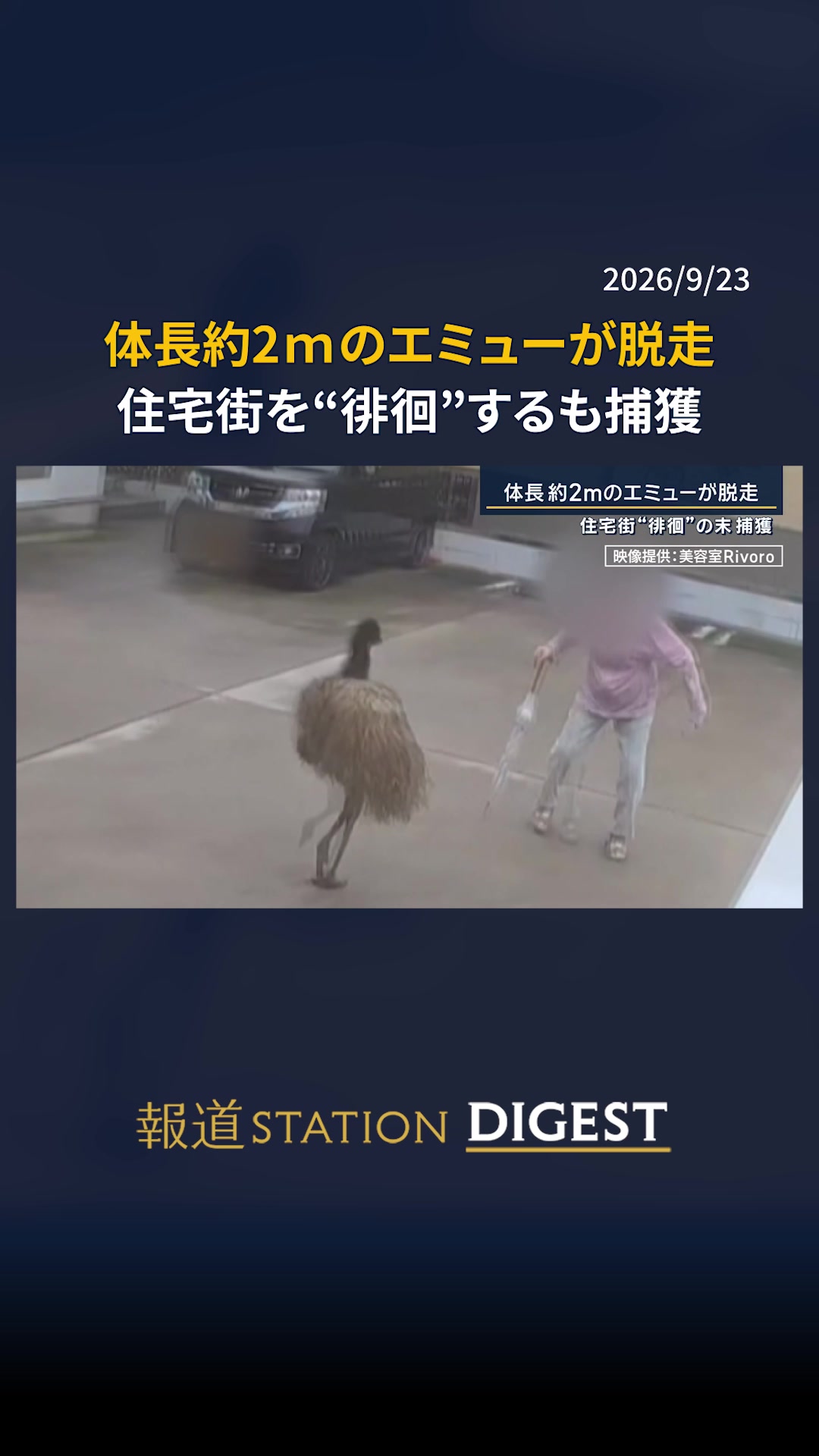 @報道ステーション