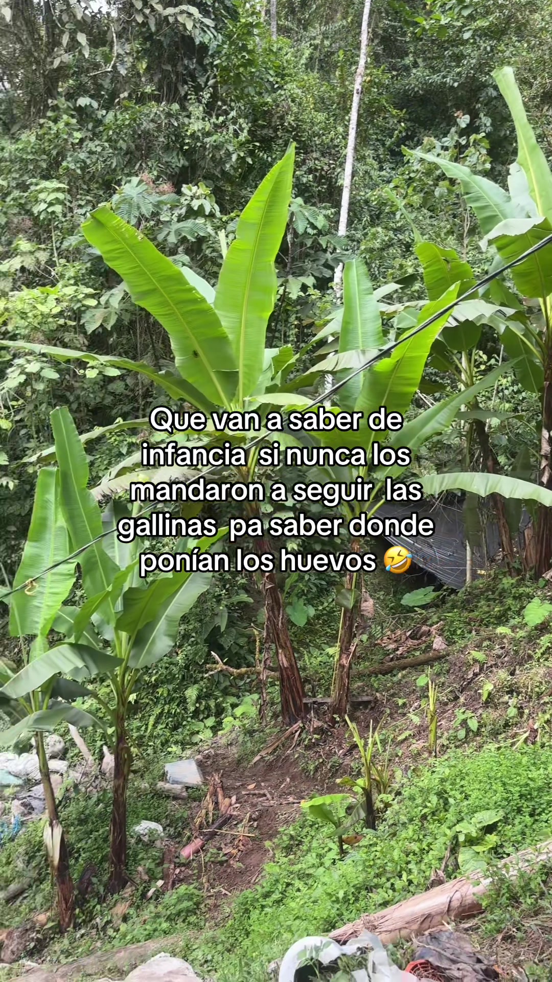 @J•higuita 🥀