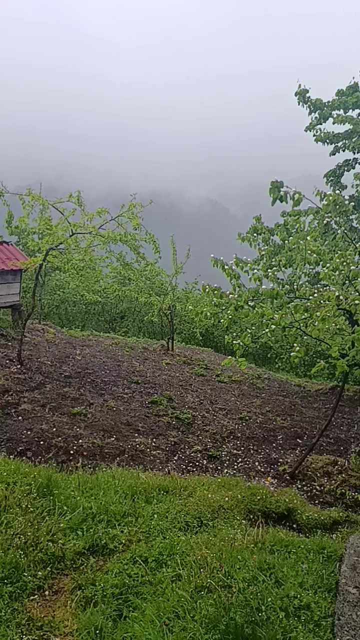@𝓜𝓮𝓵𝓪𝓱𝓪𝓽 🕊️ 𝓔𝓻𝓴𝓪𝓷