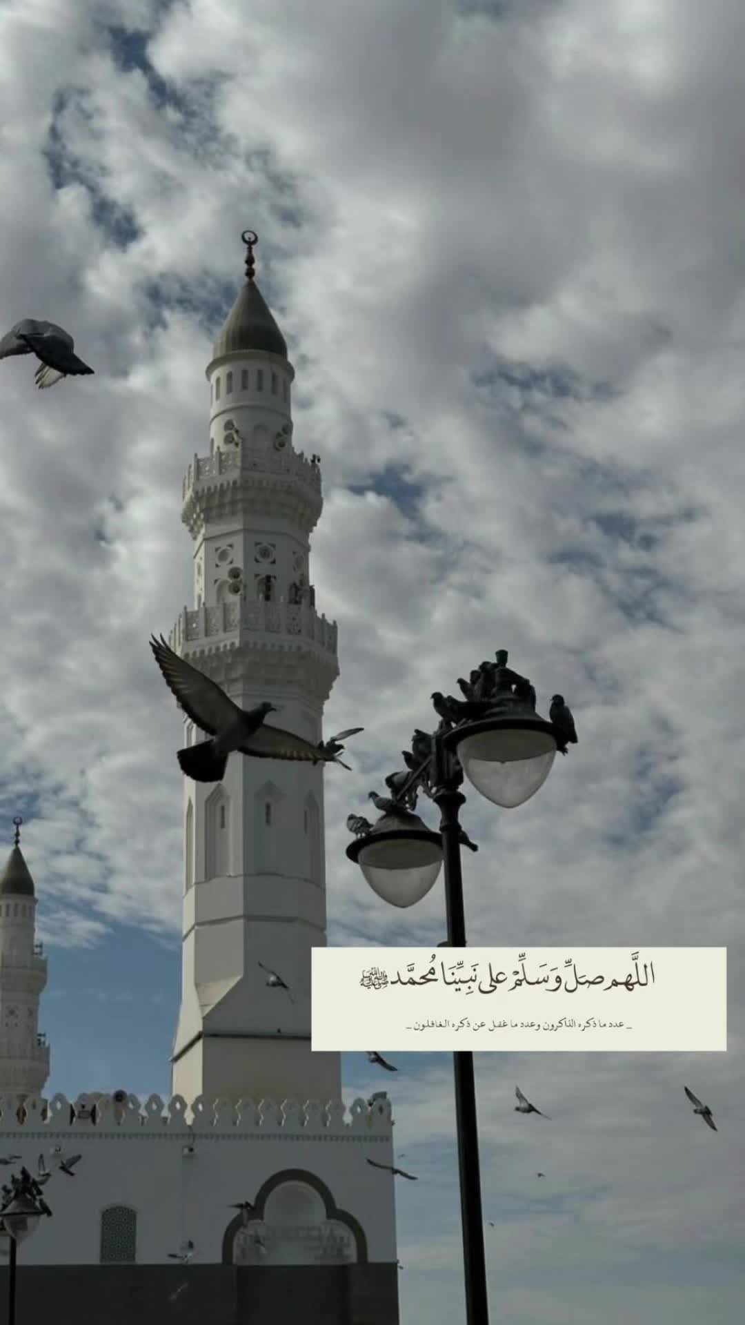 @حنان 🦌