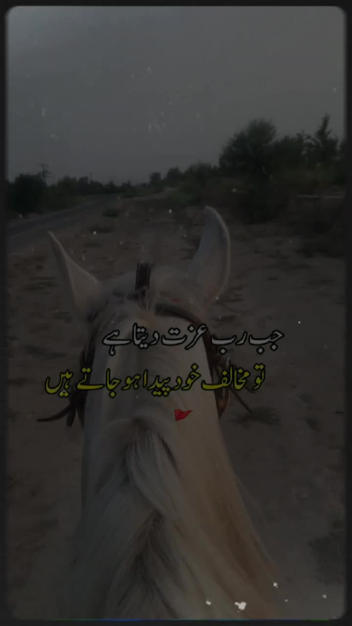 @333 Goraya مصعب