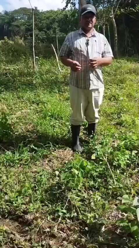 @C&iacute;tricos Ramirez 🍋