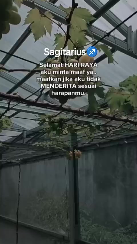 @𝓥𝓲𝓴