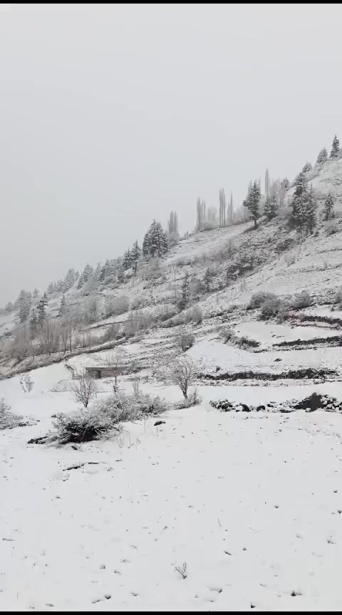 @MADAKLASHT_CHITRAL