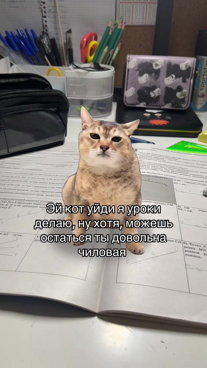 @Lynx