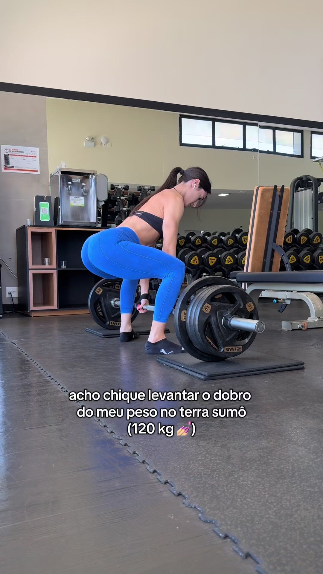 @sofia borghi