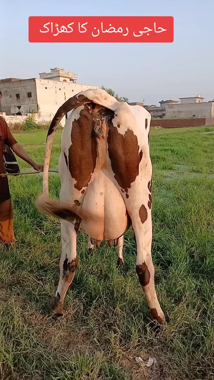 @Farming and Business Ideas