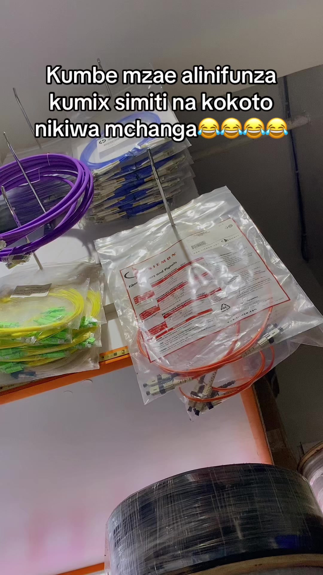 @APPLE NETWORKING SYSTEMS LTD