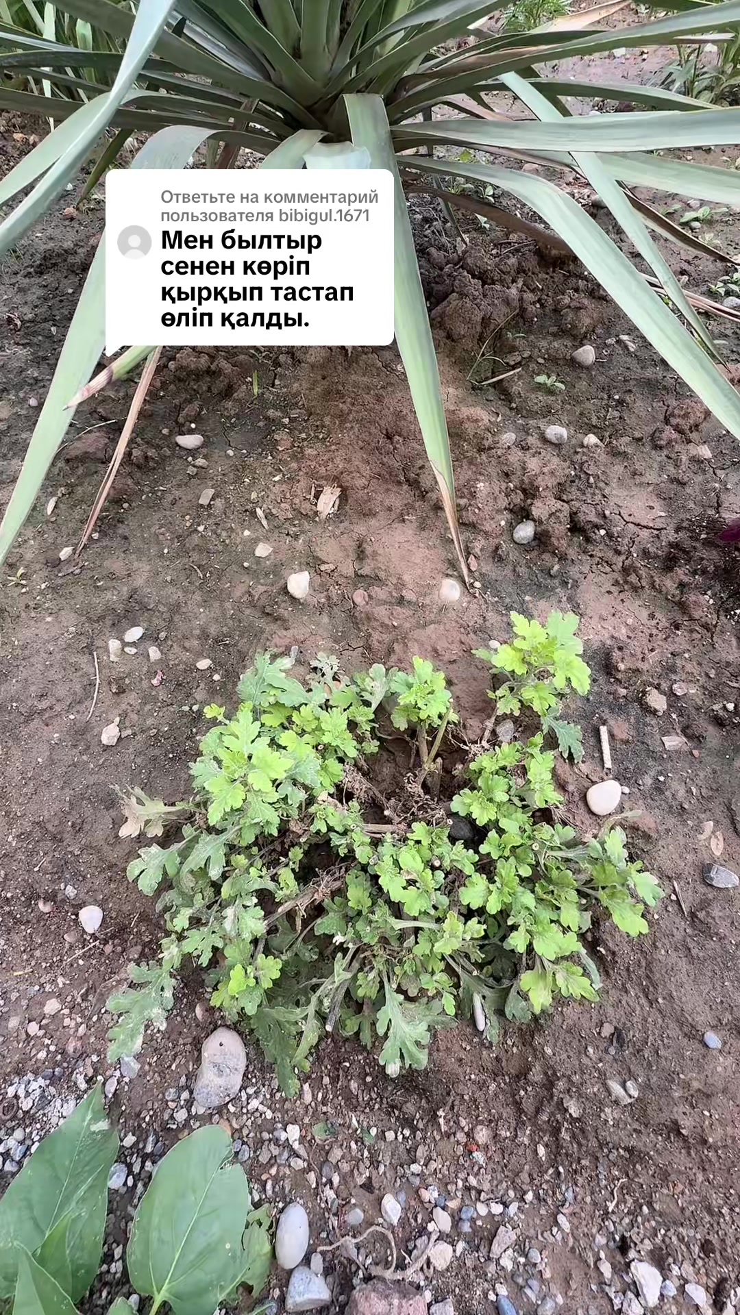@KYMBAT