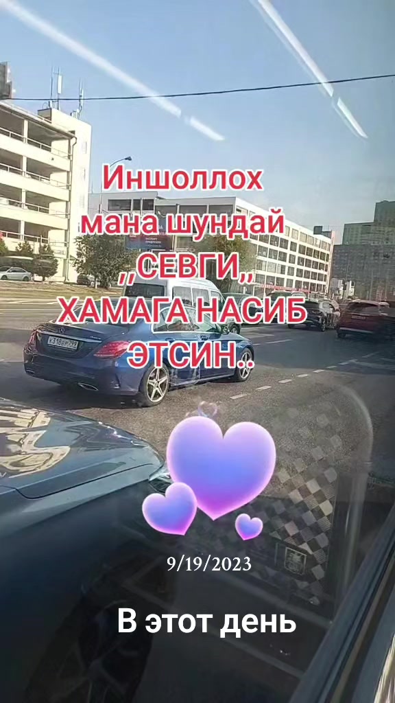 @shoira2281