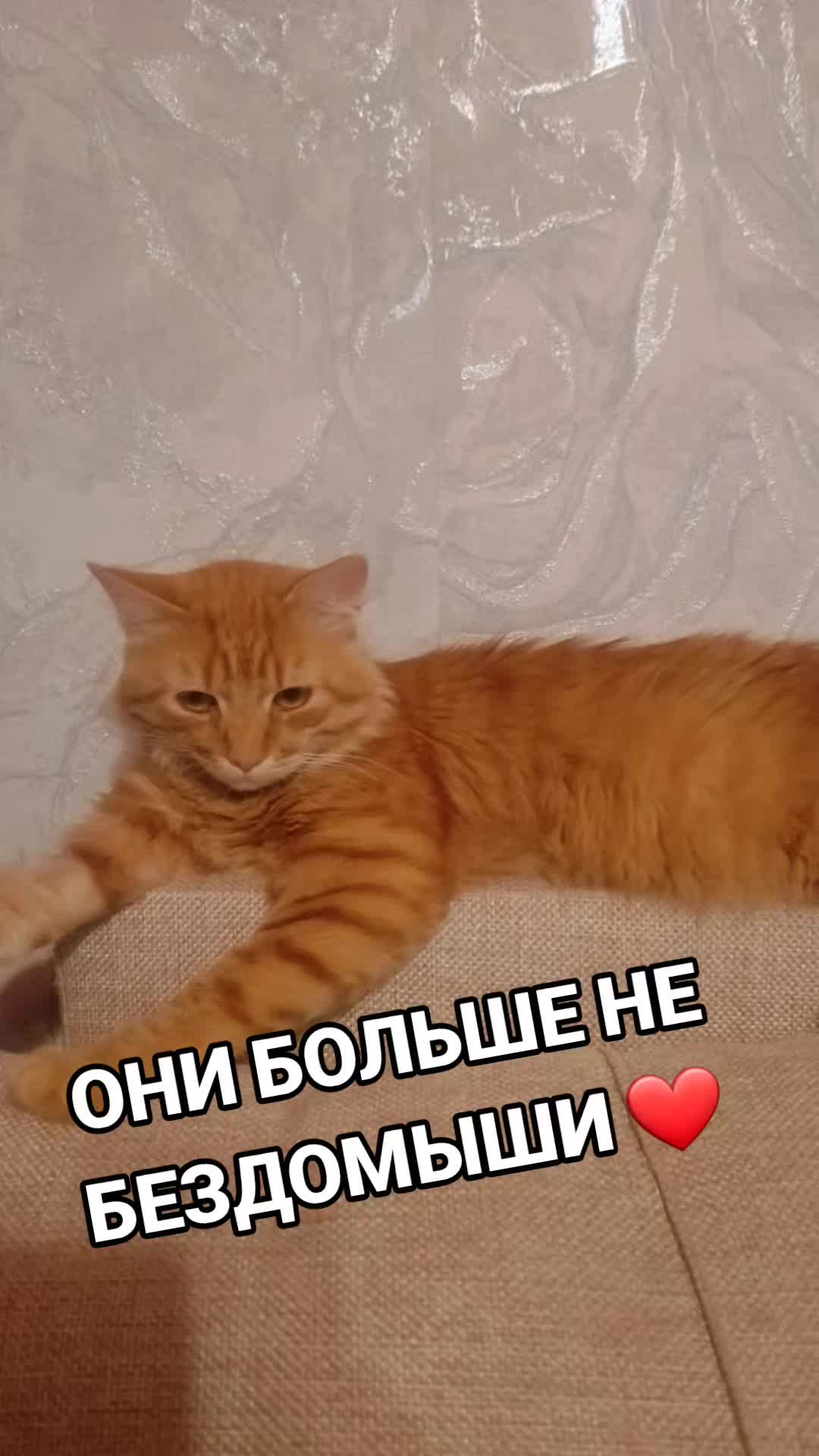 @marinka20_09